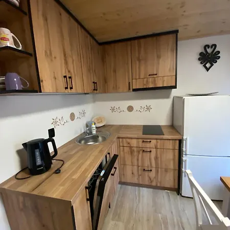 Apartment U Hudoka *